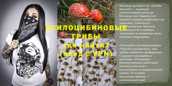Альфа ПВП Инсар