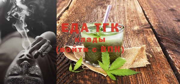 индика Иннополис