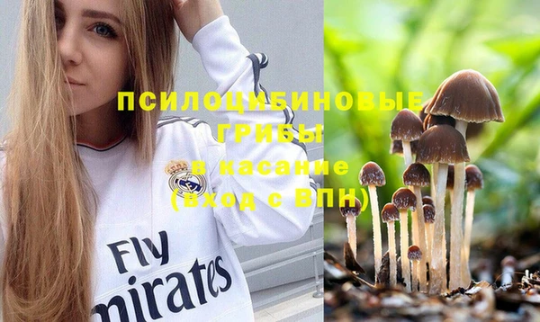 индика Иннополис