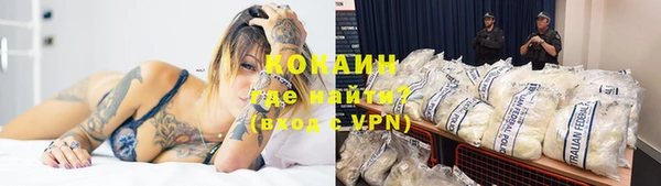 индика Иннополис