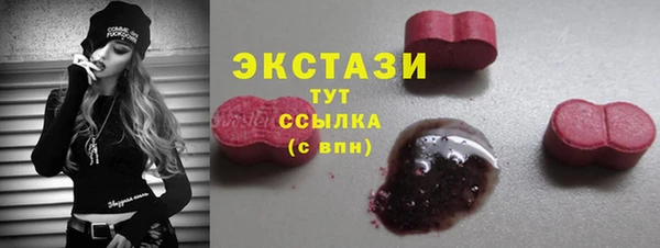 индика Иннополис