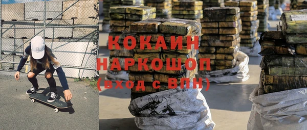 Альфа ПВП Инсар