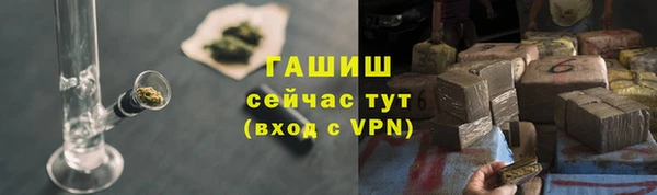индика Иннополис