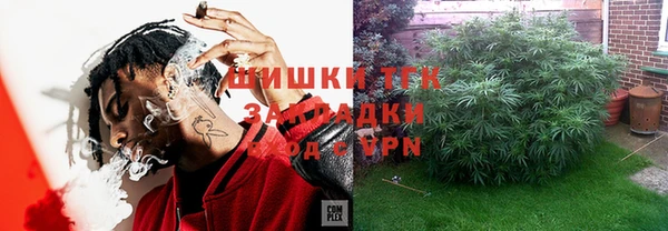 Альфа ПВП Инсар
