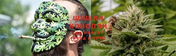 индика Иннополис