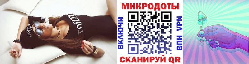 Купить закладки  Ефремов  Псилоцибиновые грибы Psilocybine cubensis 